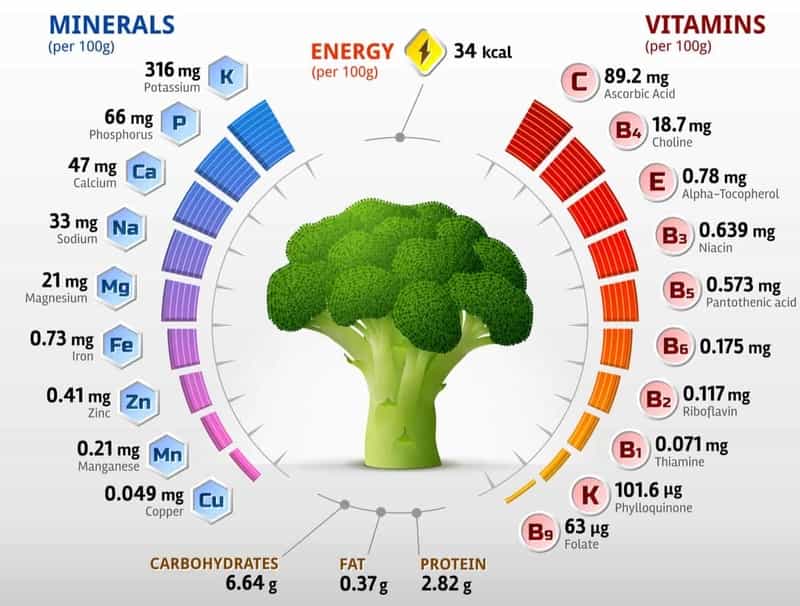 broccoli nutrition facts